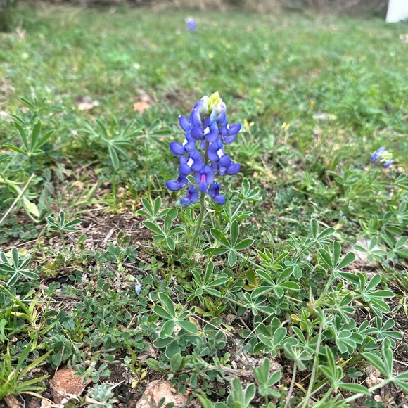 Meet your Posher, Posh - Picture 2 of 2